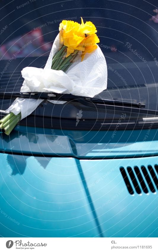 blumengruß Blume Blüte Verkehr Verkehrsmittel Autofahren PKW Scheibenwischer Autofenster Geschenk Gruß Blühend blau gelb Sympathie Farbfoto Außenaufnahme