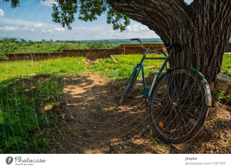 bicycle leans against a tree in malawi Ferne Fahrradtour Sommer Sonne Fahrradfahren Landschaft Wolken Schönes Wetter Verkehrsmittel Erholung frei Gesundheit