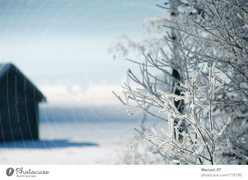 KÄLTESCHLEIER Farbfoto Außenaufnahme Menschenleer Sonnenlicht Sonnenstrahlen Schwache Tiefenschärfe Ferien & Urlaub & Reisen Tourismus Winter Schnee