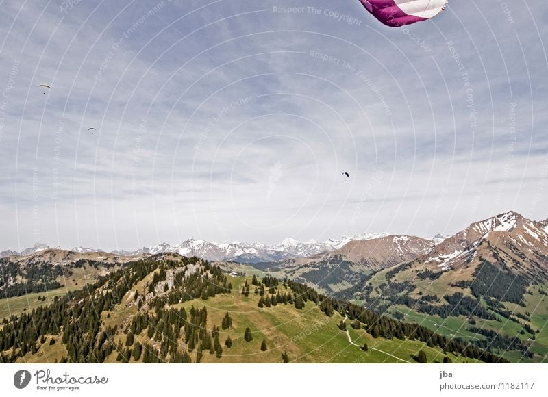 Soaring am Hornberg 10 Lifestyle Zufriedenheit Erholung ruhig Freizeit & Hobby Freiheit Sommer Berge u. Gebirge Sport Gleitschirmfliegen Sportstätten Natur