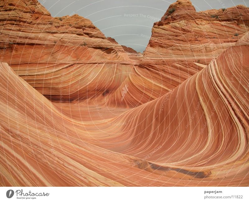 The Wave 4 Erosion Coyote Buttes Nordamerika Felsen Stein Landschaft Natur