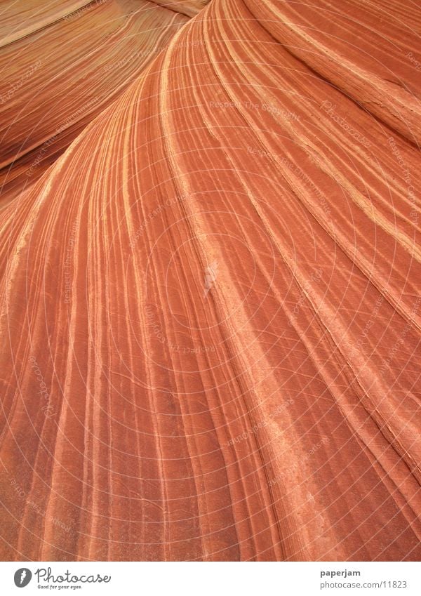 The Wave 3 Erosion Coyote Buttes Nordamerika Felsen Stein Landschaft Natur