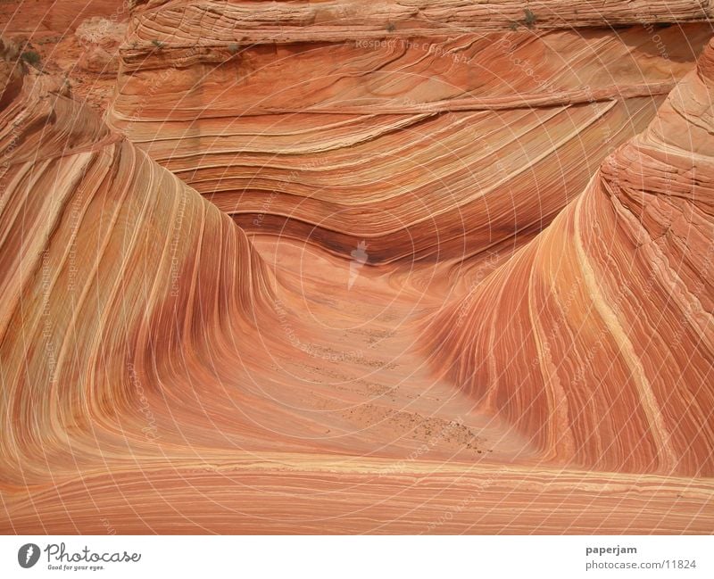 The Wave 2 Erosion Coyote Buttes Felsen Stein Landschaft Natur Geologie Vermilion Cliffs National Monument Zentralperspektive Menschenleer Naturwunder