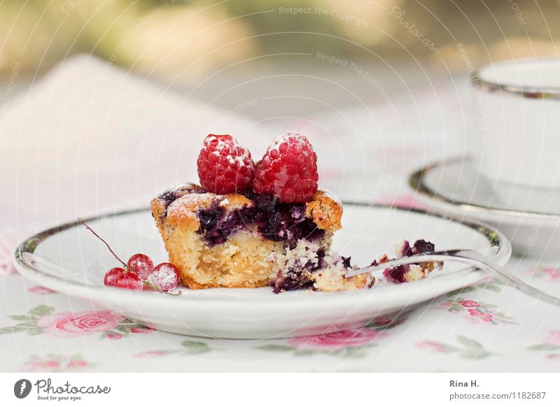 Kaffee und Kuchen Teigwaren Backwaren Ernährung Geschirr Teller Tasse lecker süß genießen Muffin Himbeeren Obstkuchen Tischwäsche Farbfoto Außenaufnahme