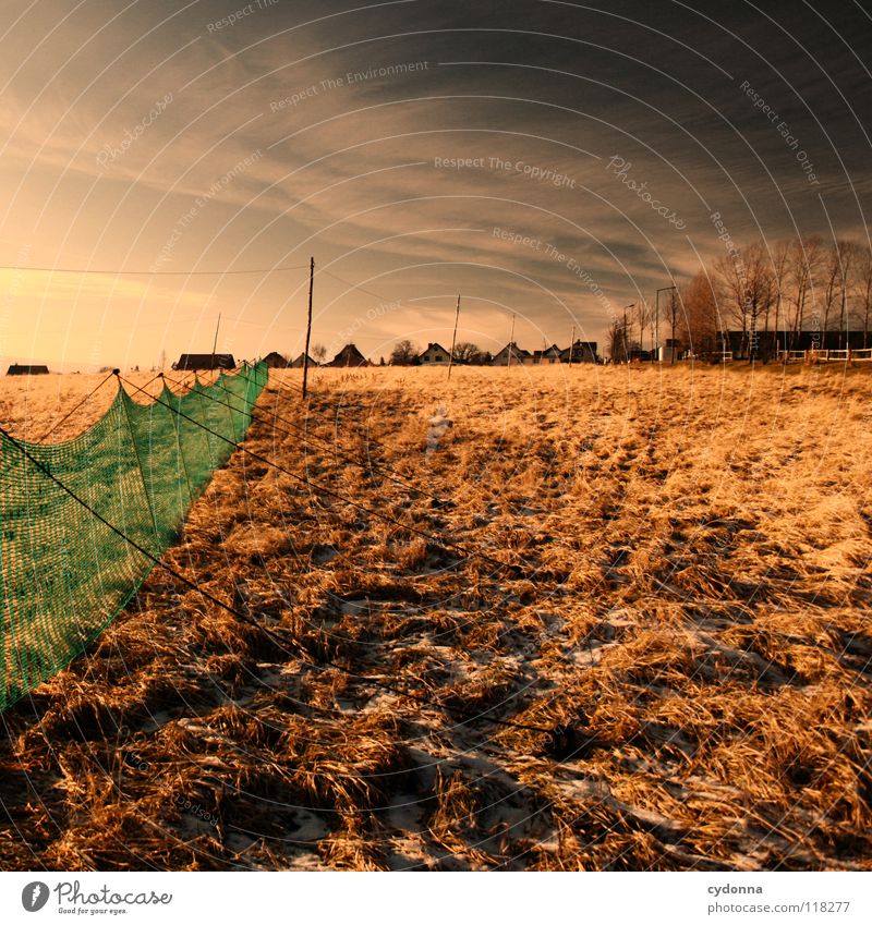 Between Colours Winter kalt Einsamkeit ruhig Wiese grün gefroren Stimmung Sehnsucht Feld Wolken schlechtes Wetter Erscheinung Horizont Dorf Ferne Haus