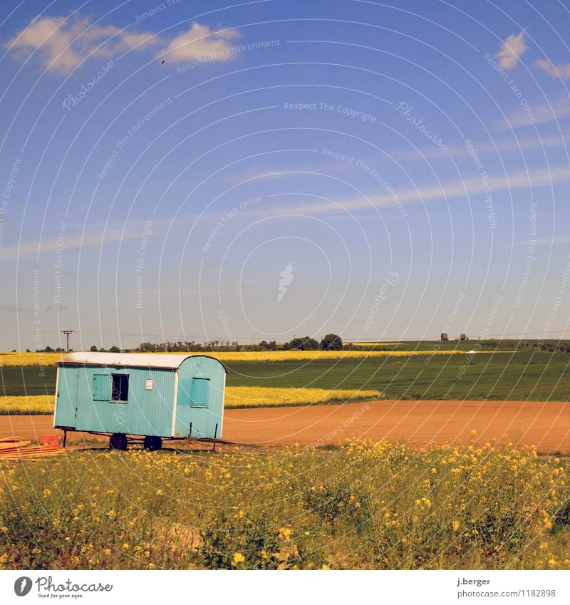 blau machen Baustelle Natur Landschaft Pflanze Himmel Frühling Wetter Schönes Wetter Feld braun gelb grün Baubude Bauwagen Rapsfeld Wolkenloser Himmel Farbfoto