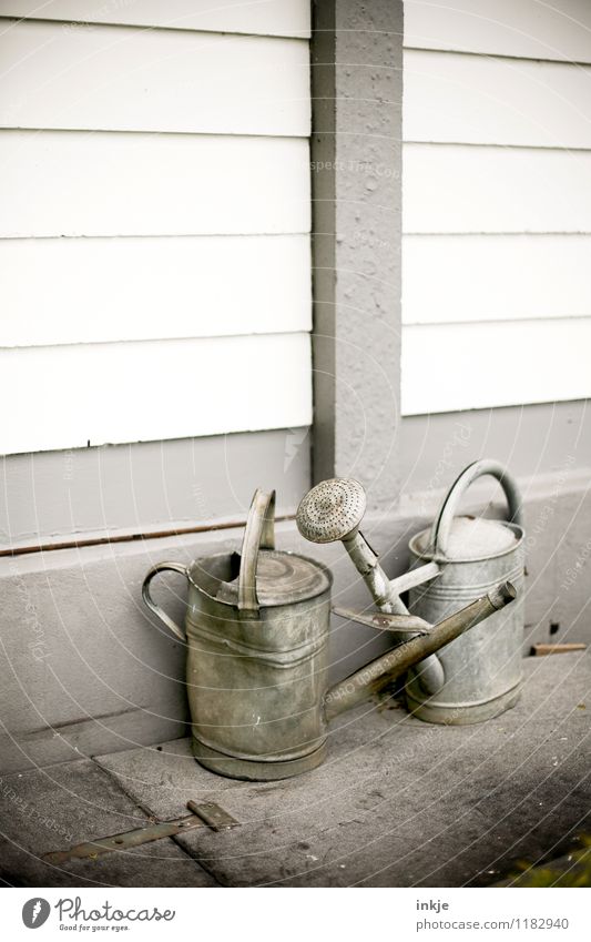 alte Liebe rostet nicht Lifestyle Häusliches Leben Garten Gartenarbeit Gießkanne zink Metall einfach Zusammensein grau Stimmung Senior Idylle verbeult Farbfoto