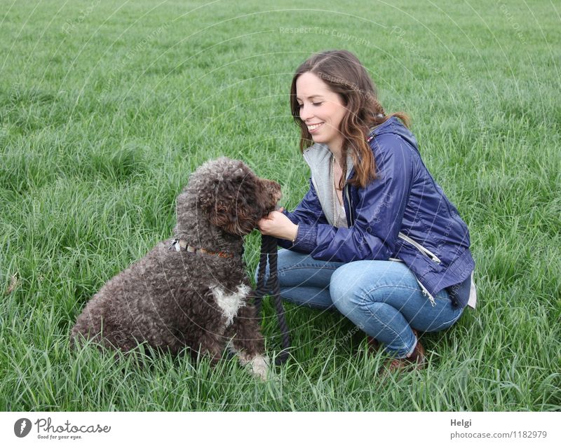 junge Frau mit langen brünetten Haaren hockt lächelnd auf einer Wiese und schaut ihren Hund an Mensch feminin Junge Frau Jugendliche Erwachsene 1 18-30 Jahre