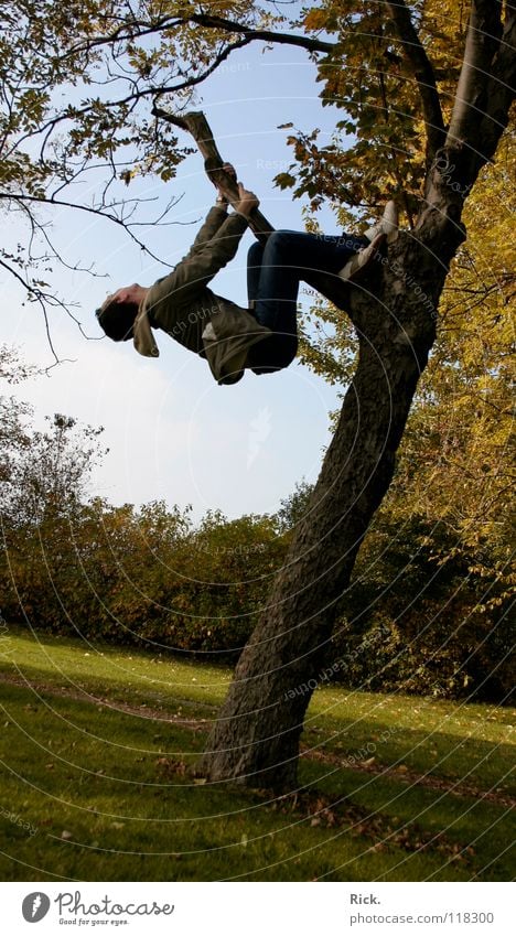 .Kletterbaum Nr. 4 Baum springen Herbst gelb Kerl Wiese Halt Situation Aktion Blatt Baumrinde Stimmung Schuhe Holzmehl Himmel grün verrückt Stativ Leben Mann