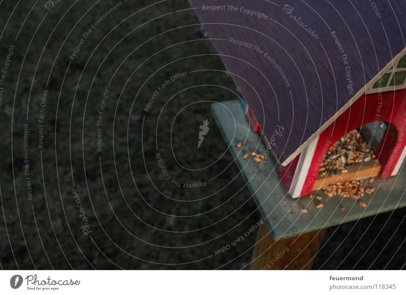Piepmatz-Villa Futterhäuschen Vogel überwintern Winter Fressen Korn Balkon Dach Wiese Tier füttern Abendsonne Ernährung verhungern picken Schwedenhaus