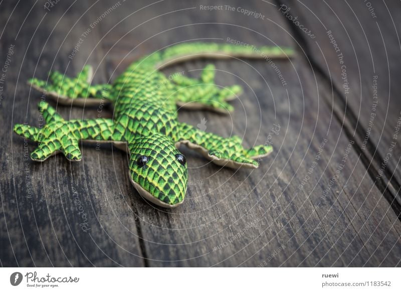 Gecko Ferien & Urlaub & Reisen Tourismus Natur 1 Tier Spielzeug Stofftiere Holz exotisch niedlich weich grün Kindheit Dielenboden Nahaufnahme flink Klettern