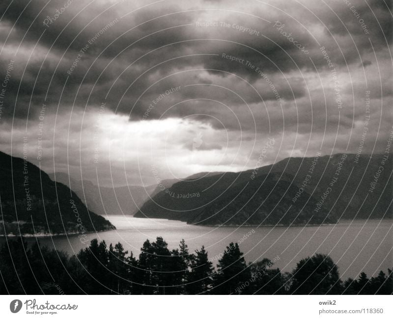 Fjordland Ferne Berge u. Gebirge Umwelt Natur Landschaft Luft Wasser Himmel Gewitterwolken Horizont Klima Schönes Wetter Baum Wald Felsen atmen bedrohlich