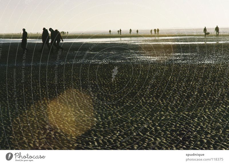 kalte waerme Strand Meer See Gezeiten Reflexion & Spiegelung Gegenlicht Brise Winter schön Küste Wasser Nordsee Wattenmeer Sand Ferne Freiheit Sonne seewind