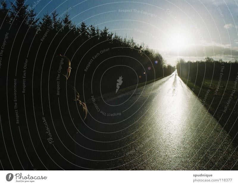 in die zukunft sehen gerade Gegenlicht Reflexion & Spiegelung Licht Fahrbahn Verkehrswege Frieden Straße Wege & Pfade Linie Sonne leere Straße schnurgeradeaus