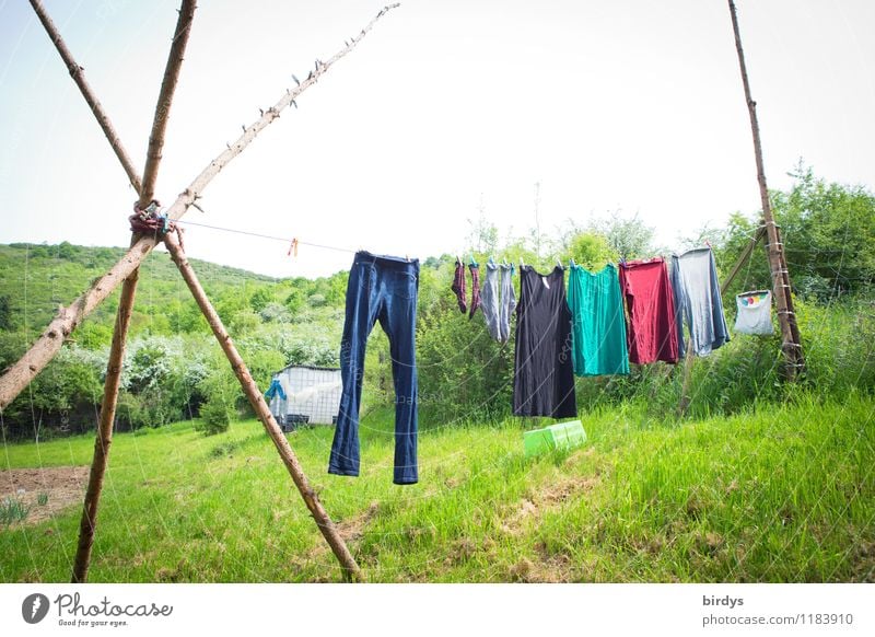 Die Wäsche trocknet an der Sonne, die... Lifestyle Natur Landschaft Himmel Frühling Sommer Schönes Wetter Sträucher Wiese Wald Hügel Jeanshose Kleid Strümpfe