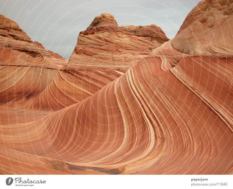 The Wave Erosion Felsen Stein Landschaft Natur Sandstein ästhetisch schön beeindruckend Attraktion Sehenswürdigkeit außergewöhnlich bizarr Wellenform wellig