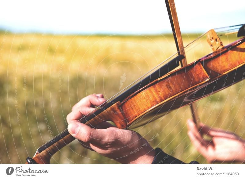 Naturtöne Erfolg Mensch feminin Junger Mann Jugendliche Erwachsene Leben Hand Kunst Künstler Kultur Musik Musik hören Konzert Open Air Musiker Geige Landschaft