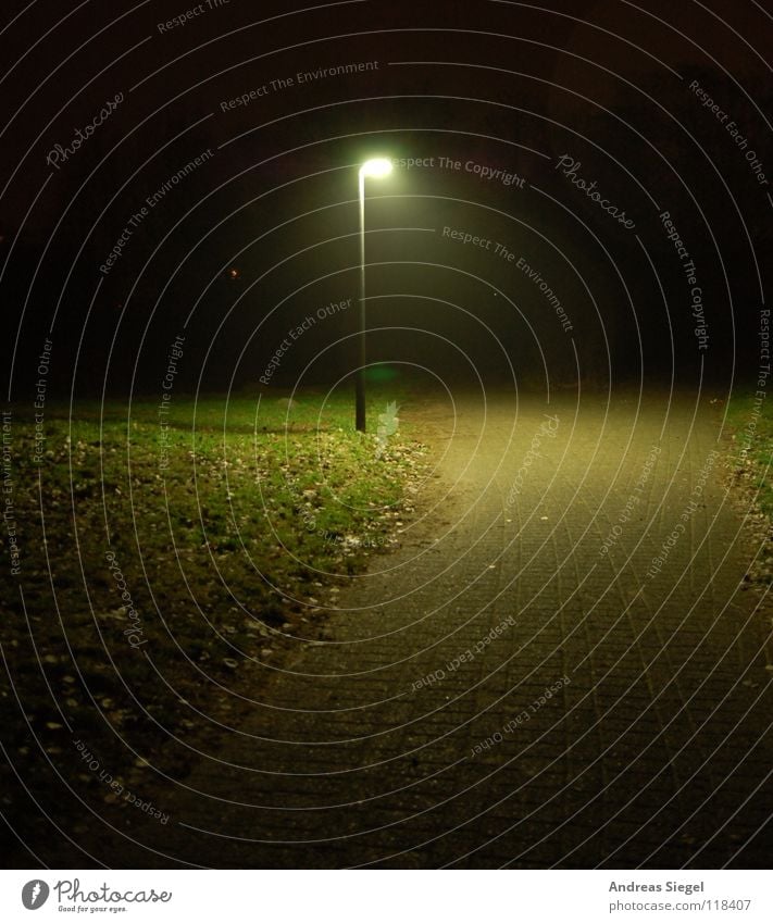 Laterne, einsam Nacht dunkel Blatt mystisch schwarz grün Park kalt Wildau Verkehrswege Wege & Pfade Bürgersteig Beleuchtung Dunkelfeld Lichtfleck Schatten Rasen