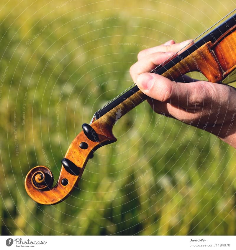 Naturtöne open air Reichtum elegant Leben harmonisch Erholung ruhig Freizeit & Hobby Spielen Sommer Musik Mensch maskulin Junger Mann Jugendliche Erwachsene