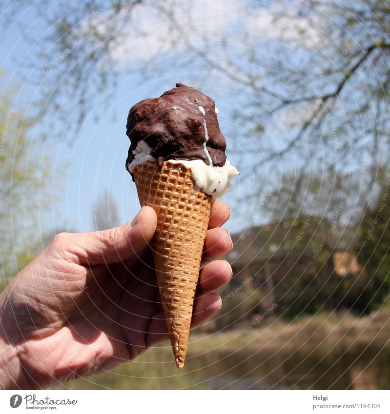 hmmmm....lecker! Lebensmittel Milcherzeugnisse Teigwaren Backwaren Speiseeis Schokolade Eiswaffel Mensch Mann Erwachsene Hand Finger Natur Landschaft Baum