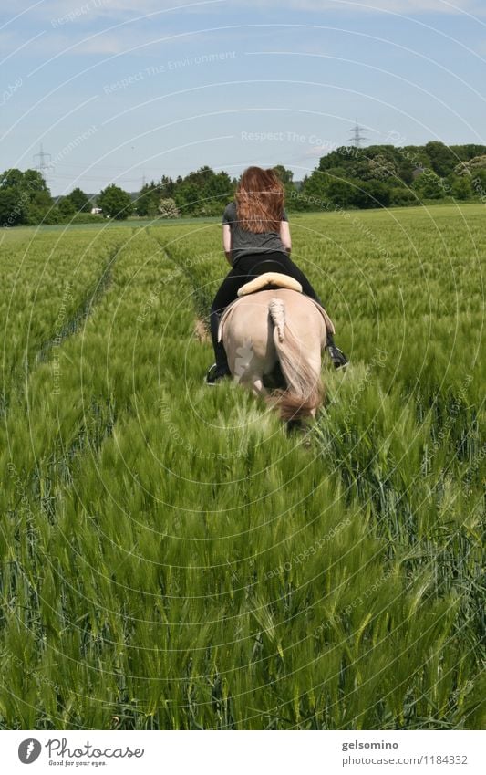 Ab durch die Hecke Haare & Frisuren Reitsport Reiten feminin Rücken 1 Mensch Natur Nutzpflanze Feld rothaarig Pferd laufen rennen frei Zusammensein