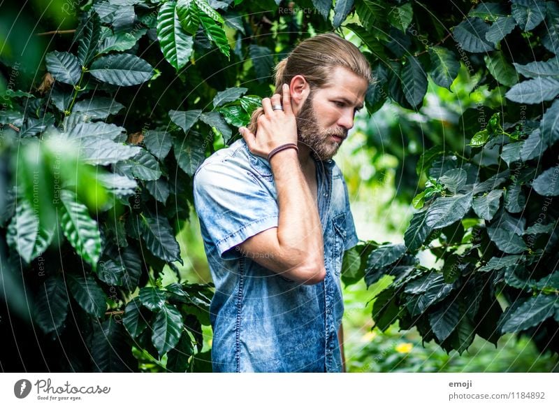 jungle Mensch maskulin Junger Mann Jugendliche Erwachsene 1 18-30 Jahre Umwelt Natur Sommer langhaarig Bart schön natürlich grün Farbfoto Außenaufnahme Tag