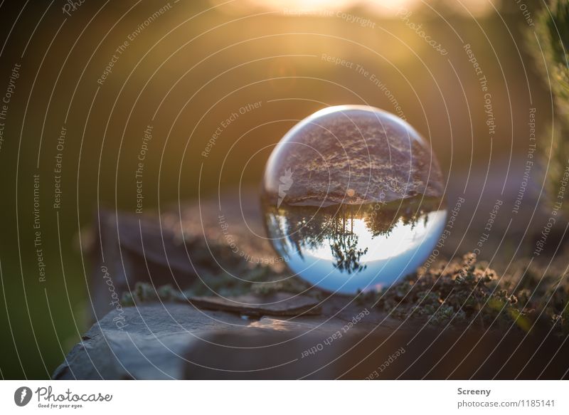 Welten #2 Natur Landschaft Pflanze Sonnenaufgang Sonnenuntergang Frühling Sommer Schönes Wetter Wiese Feld Glaskugel Kristallkugel Stein rund Gelassenheit