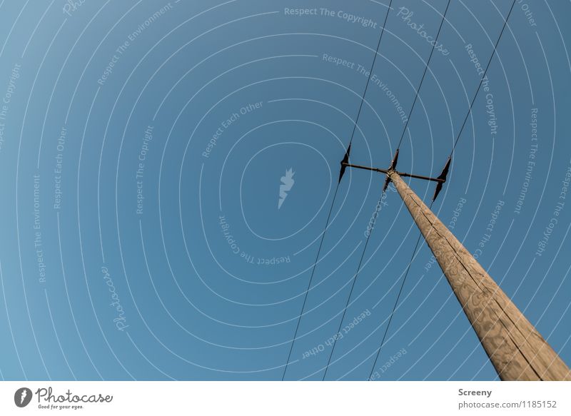 Energieträger #2 Technik & Technologie Energiewirtschaft Strommast hoch blau braun Stadt Draht Elektrizität Himmel (Jenseits) Wolkenloser Himmel Farbfoto