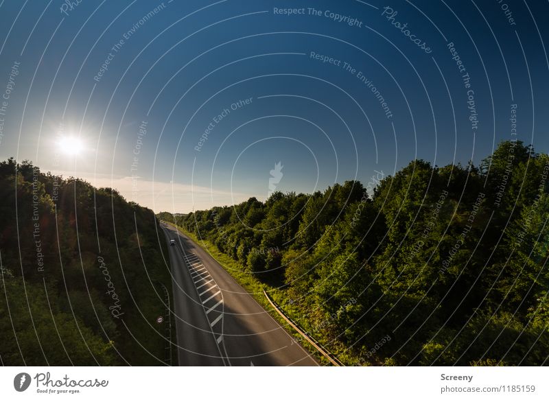 Zur Sonne, da lang... Umwelt Natur Landschaft Himmel Frühling Sommer Schönes Wetter Pflanze Baum Sträucher Verkehr Verkehrswege Personenverkehr Autofahren