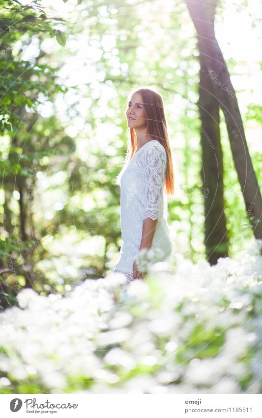 shine bright feminin Junge Frau Jugendliche 1 Mensch 18-30 Jahre Erwachsene Umwelt Natur Landschaft Frühling Sommer Schönes Wetter Wald Kleid brünett langhaarig