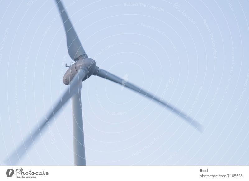 Wind Technik & Technologie Fortschritt Zukunft Energiewirtschaft Erneuerbare Energie Windkraftanlage Urelemente Luft Himmel Wolkenloser Himmel blau grau Klima