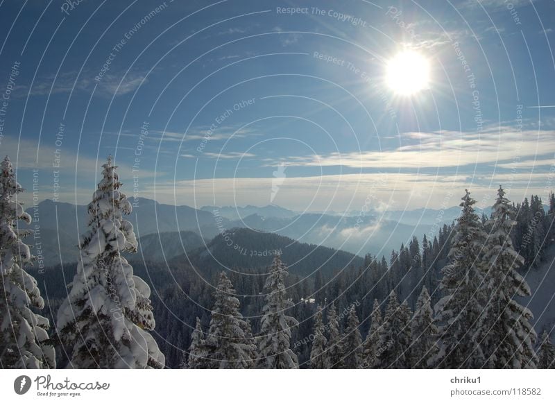 Wintersonnentag Baum Schnee Winterstimmung Skitour Panorama (Aussicht) kalt Außenaufnahme Berge u. Gebirge Freizeit & Hobby Alpen Hirschberg Sonne Himmel blau