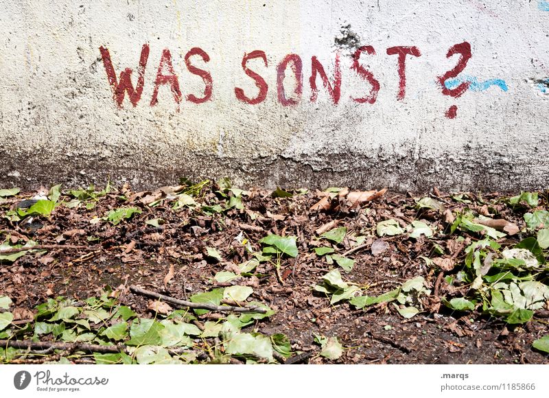 Herbst Lifestyle Erde Blatt Mauer Wand Schriftzeichen alt kaputt Stimmung Kommunizieren was Fragezeichen Fragen Farbfoto Gedeckte Farben Außenaufnahme