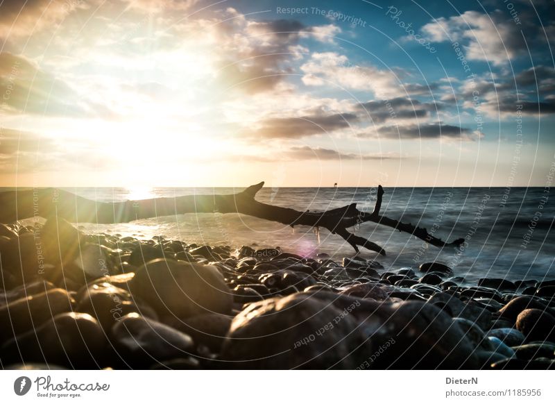 Gegenlicht Umwelt Landschaft Wasser Himmel Wolken Horizont Wellen Küste Ostsee blau gelb schwarz Stein Baumstamm Treibholz Farbfoto Außenaufnahme Menschenleer