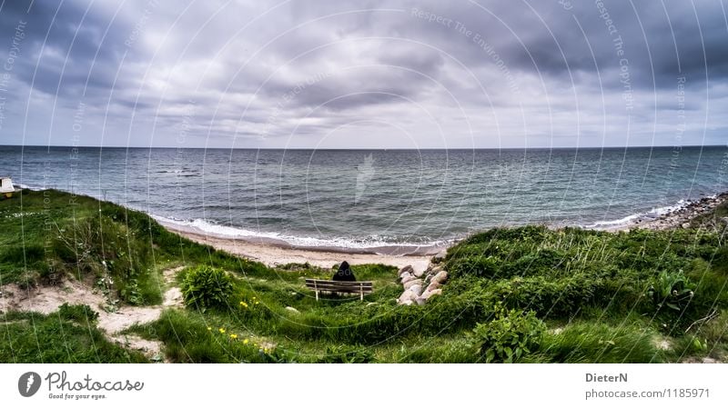 Weite Umwelt Natur Landschaft Erde Wasser Himmel Wolken Gewitterwolken Horizont Sonnenlicht Frühling Wetter schlechtes Wetter Gras Wellen Küste Ostsee blau gelb