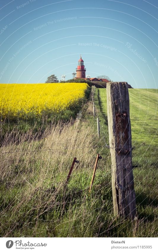 Am Feldrand Landschaft Frühling Schönes Wetter Pflanze Gras Nutzpflanze Turm Leuchtturm blau gelb grün Raps Rapsfeld Mecklenburg-Vorpommern Kühlungsborn Weide