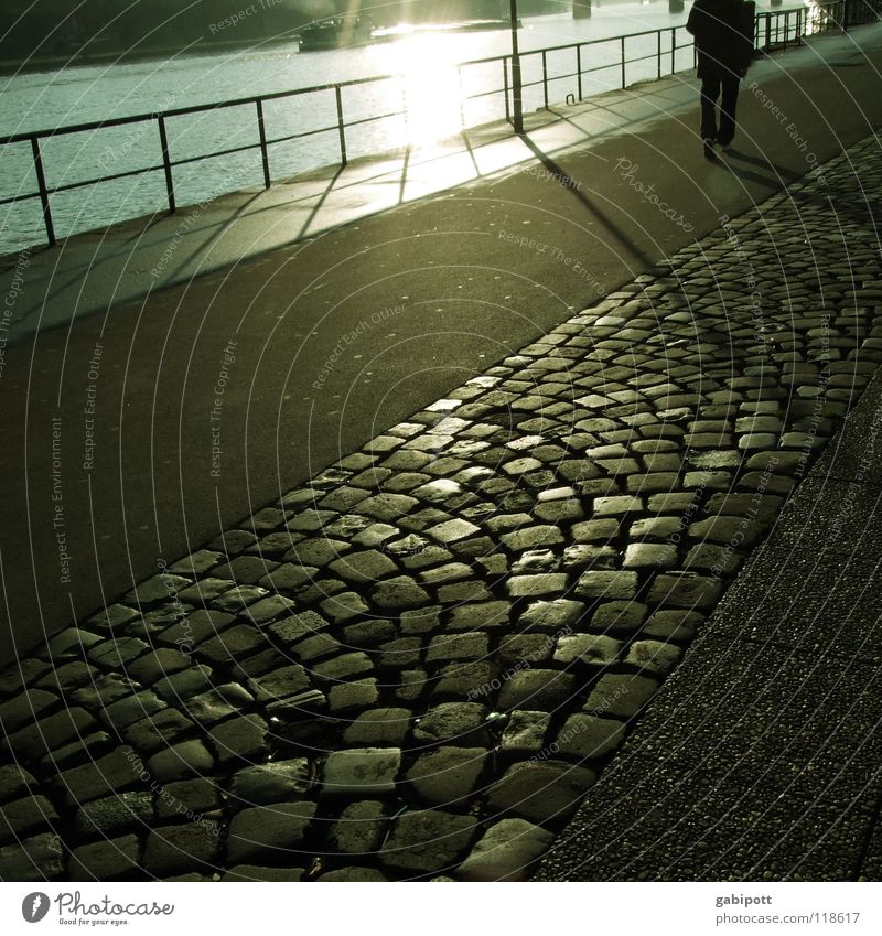 walk the Main Frankfurt am Main Promenade Bürgersteig Sonnenuntergang Licht Abendsonne Abenddämmerung Winter gehen Luft ruhig Einsamkeit Abschied grau