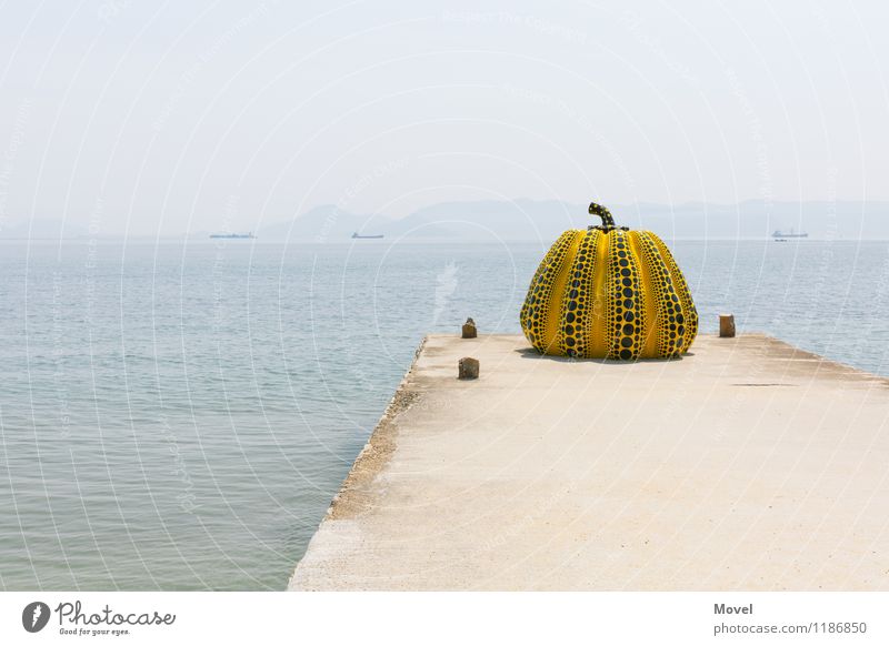 Yellow Pumpkin Tourismus Abenteuer Insel Kunst Ausstellung Museum Kunstwerk Skulptur Kultur Luft Wasser Himmel Sonne Kürbis Küste Bucht Menschenleer