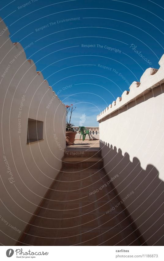 Indisches Foto Himmel Sommer Schönes Wetter Wärme Mauer Wand Terrasse Dach ästhetisch blau braun weiß Perspektive Symmetrie Ferne Dachziegel Fliesen u. Kacheln