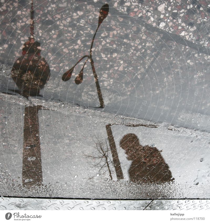 pfützenfotowetter Funkturm Pfütze Reflexion & Spiegelung Mann Rinnstein Mensch Berlin Berliner Fernsehturm Turm Wasserlache Silhouette Laternenpfahl Fußgänger