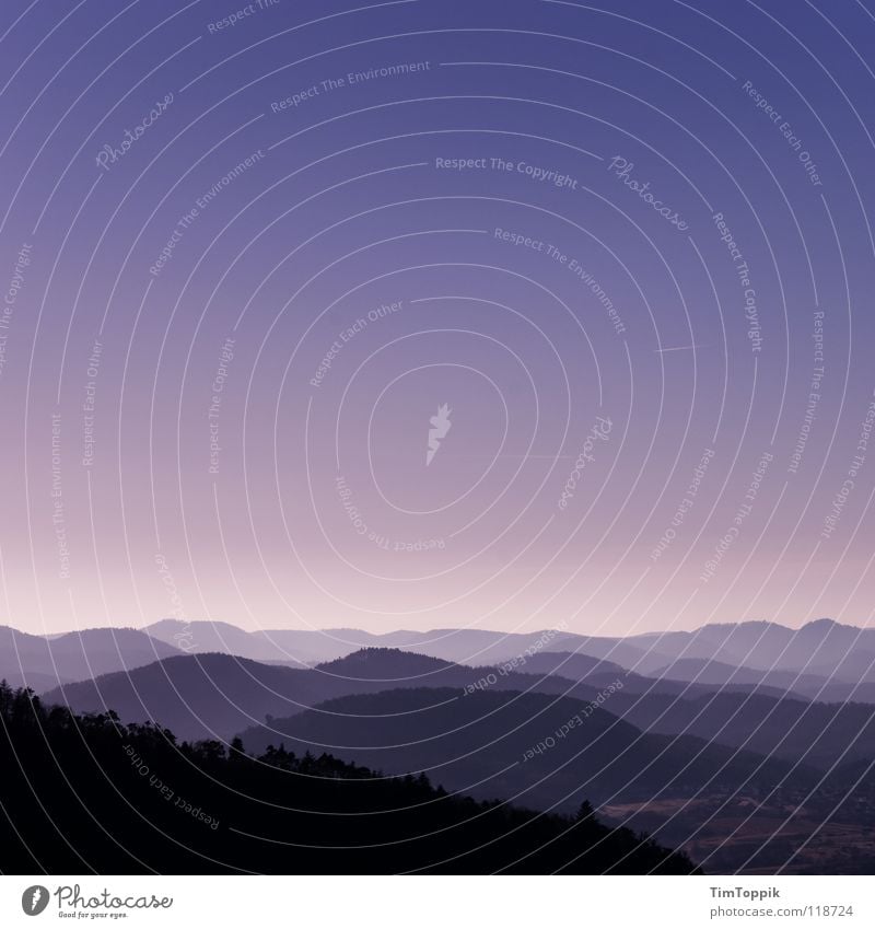 Pfälzer Kitsch Wald Hügel Baum Aussicht Abenddämmerung violett Rheinland-Pfalz Nebel Schatten Plattform Blick überblicken geheimnisvoll mystisch Landschaft