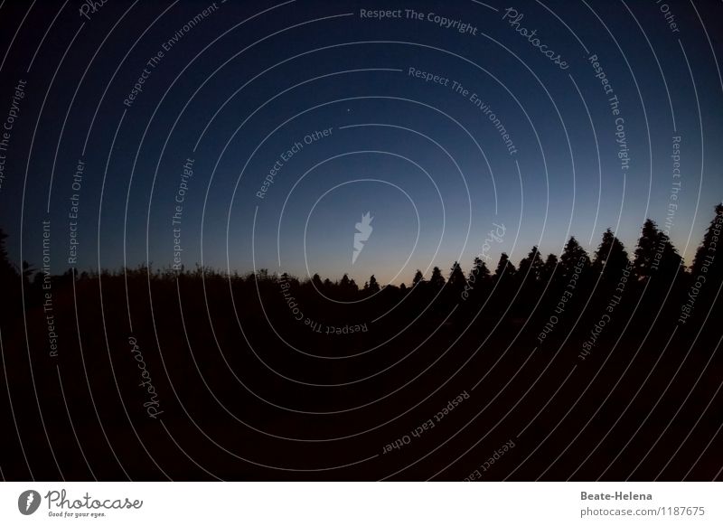 Twinkle Twinkle Little Star Gesundheitswesen Erholung ruhig Meditation Ferien & Urlaub & Reisen Sightseeing Umwelt Natur Himmel Stern Horizont Schönes Wetter