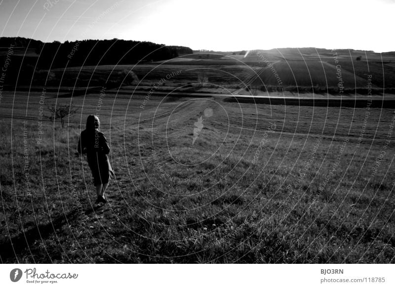 zeit zum nachdenken Weitwinkel schwarz weiß Gegenlicht Ferne Horizont Frau Denken Hügel Baum Wiese Herbst Pflanze gehen ruhig Licht Lichtfleck Schwarzweißfoto