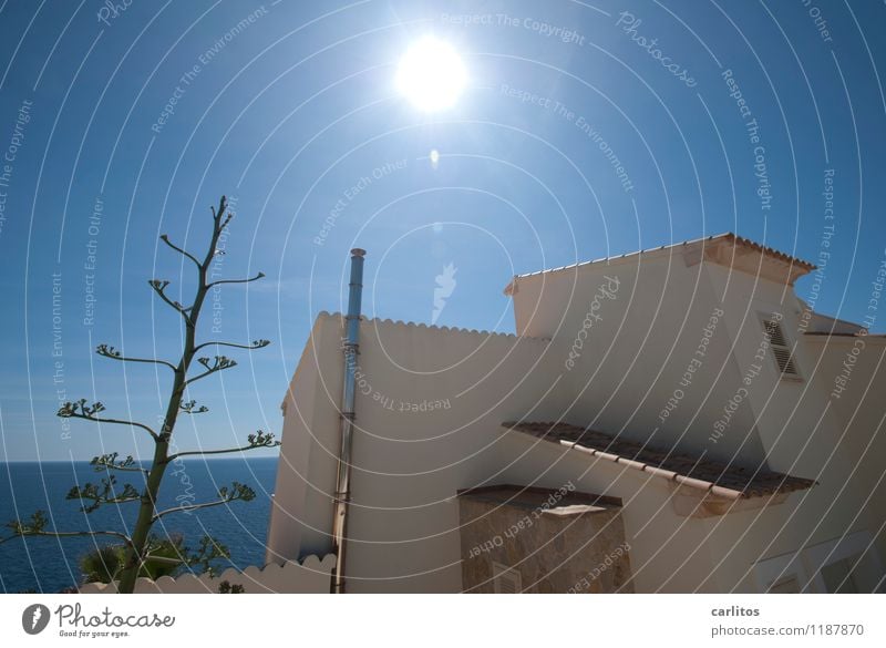 Loch im Himmel Haus Ferienhaus Villa Wand Dach Fassade Schornstein Dachziegel Gegenlicht Sonne blenden Wärme Agave Blüte blau Meer Horizont Weitwinkel