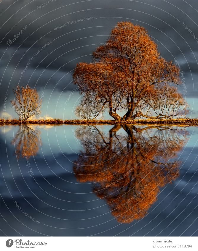 touch Baum Winter Herbst Reflexion & Spiegelung See laublos trocken Wolken Sträucher Flüssigkeit Holz Gabel Wasserspiegelung Pfütze HDR Himmel Fluss Bewegung