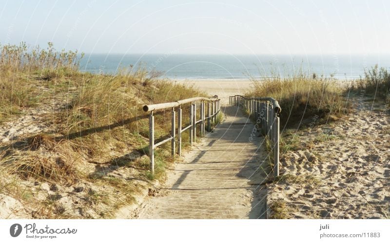 Wege muss man gehen Meer Strand Steg Heringsdorf Herbst Stranddüne