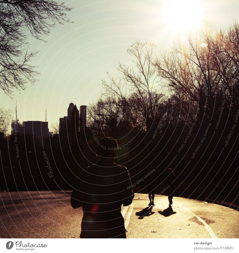 ick loof durch'n paaark, hab beene wie quaaark I Park Joggen atmen Central Park Bürgersteig Licht Baum Regen feucht nass liquide Pfütze Reflexion & Spiegelung