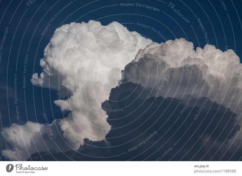 aufgebauscht Umwelt Natur Urelemente Luft Himmel nur Himmel Wolken Gewitterwolken Klima Klimawandel Wetter schlechtes Wetter Unwetter Sturm bedrohlich dunkel