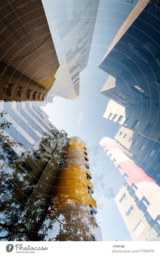 Hoch hinaus Stil Design Häusliches Leben Wolkenloser Himmel Baum Hochhaus Fassade Fenster außergewöhnlich Coolness hoch modern Perspektive Zukunft aufstrebend