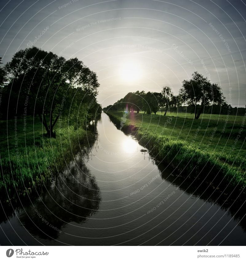 Ruhland Umwelt Natur Landschaft Pflanze Wasser Himmel Horizont Frühling Klima Wetter Schönes Wetter Baum Wiese Flussufer Schwarze Elster Brandenburg Deutschland